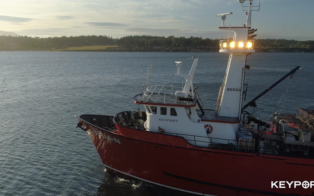 Total Allowable Catch Announced for Red King Crab, Snow Crab and Bairdi
