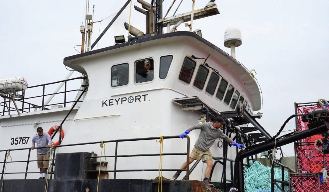 Quotas Increase Again For Golden King Crab, With Aleutian Stocks In ‘Good Shape’