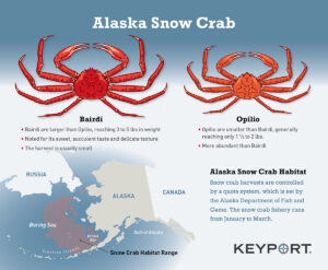 crab alaska opilio