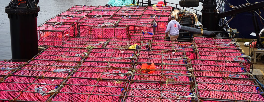 pinkpots Pink pots for crab fishing