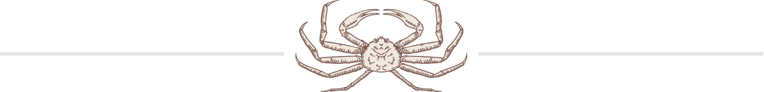 snow-crab-drawing Snow crab drawing