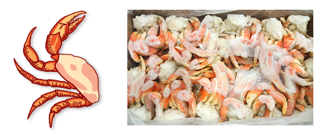 Dungeness Crab sections