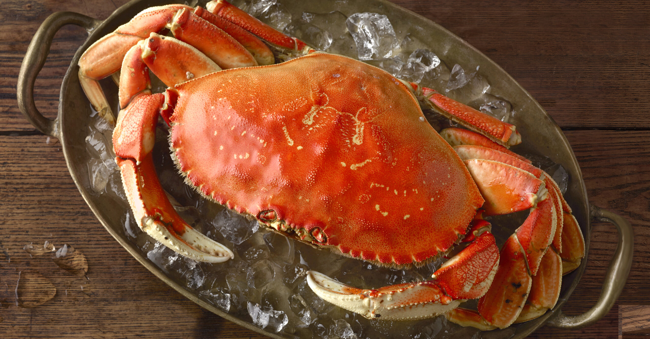 Wholesale Dungeness Crab - Keyport